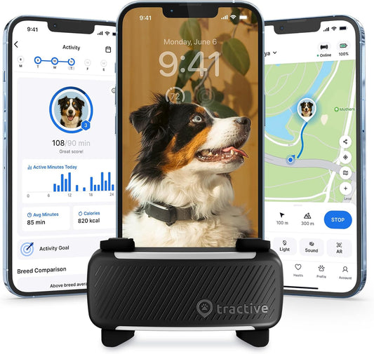 Smart Dog GPS Tracker | Live Pet Tracker with Virtual Fence | Vital Signs Monitoring of Heart & Respiratory Rate | Bark Monitoring | Dog Collar Attachment (Black)